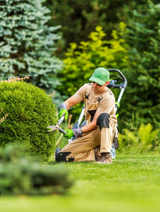 Jardineiro trabalhando